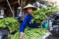 Local_markets-small